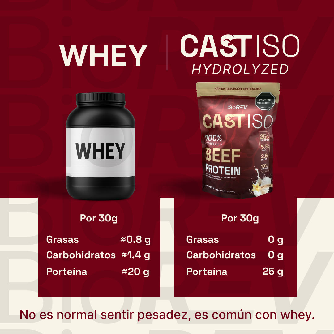 CastISO 456 g